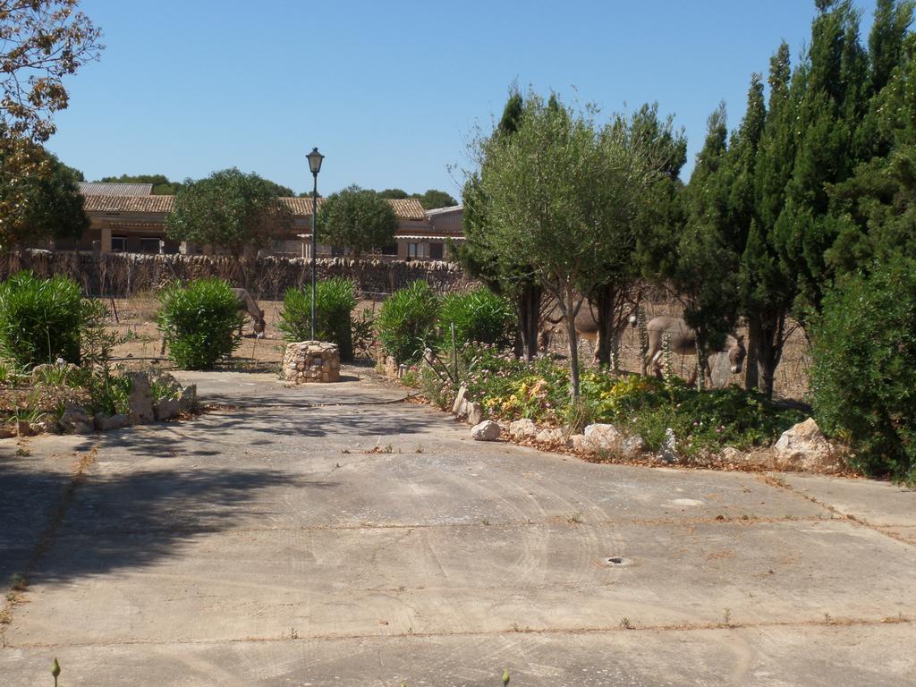 Sa Bassa Crua Agroturismo Sa Torre Kültér fotó