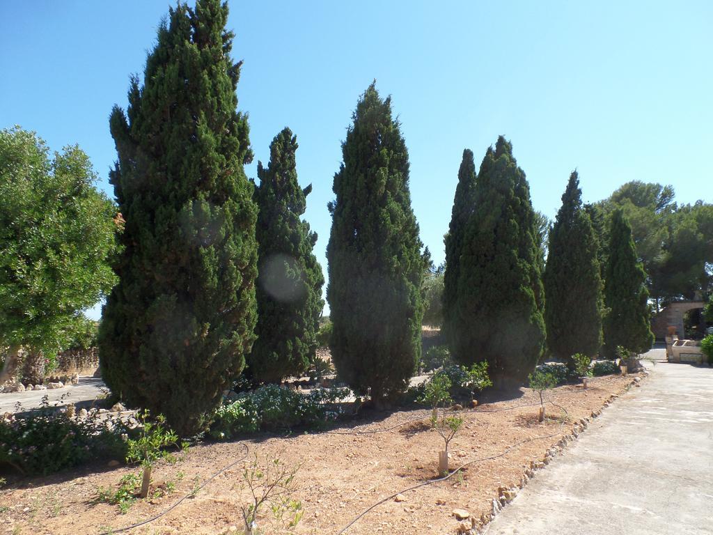 Sa Bassa Crua Agroturismo Sa Torre Kültér fotó