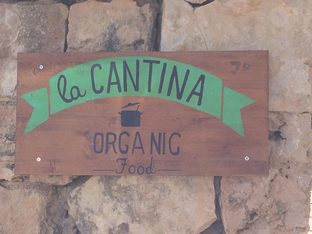 Sa Bassa Crua Agroturismo Sa Torre Kültér fotó